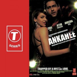 Ankahee, Part 1