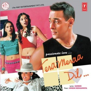 Tera Meraa Dil songs