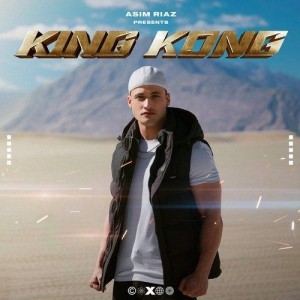 KING KONG - Asim Riaz  songs