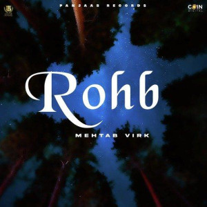 Rohb - Mehtab Virk songs