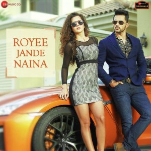 Royee Jande Naina - Nitin Gupta songs