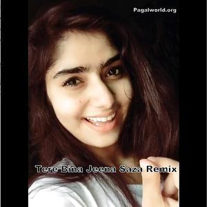 Tere Bina Jeena Saza Tik Tok songs