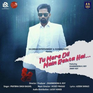 Tu Mere Dil Main Rehta Hai - Pratibha Singh Baghel songs